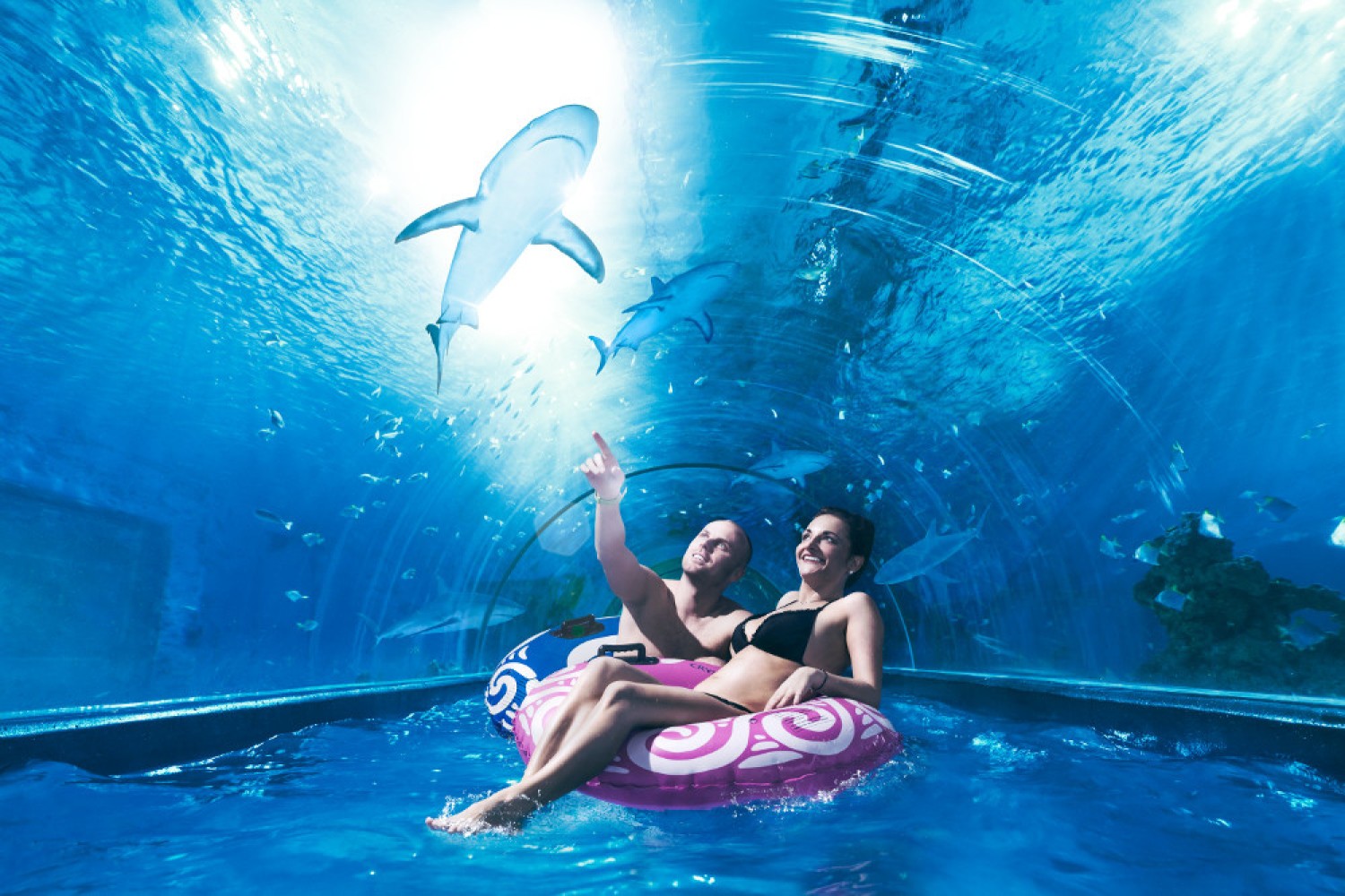 AQUACENTRUM
